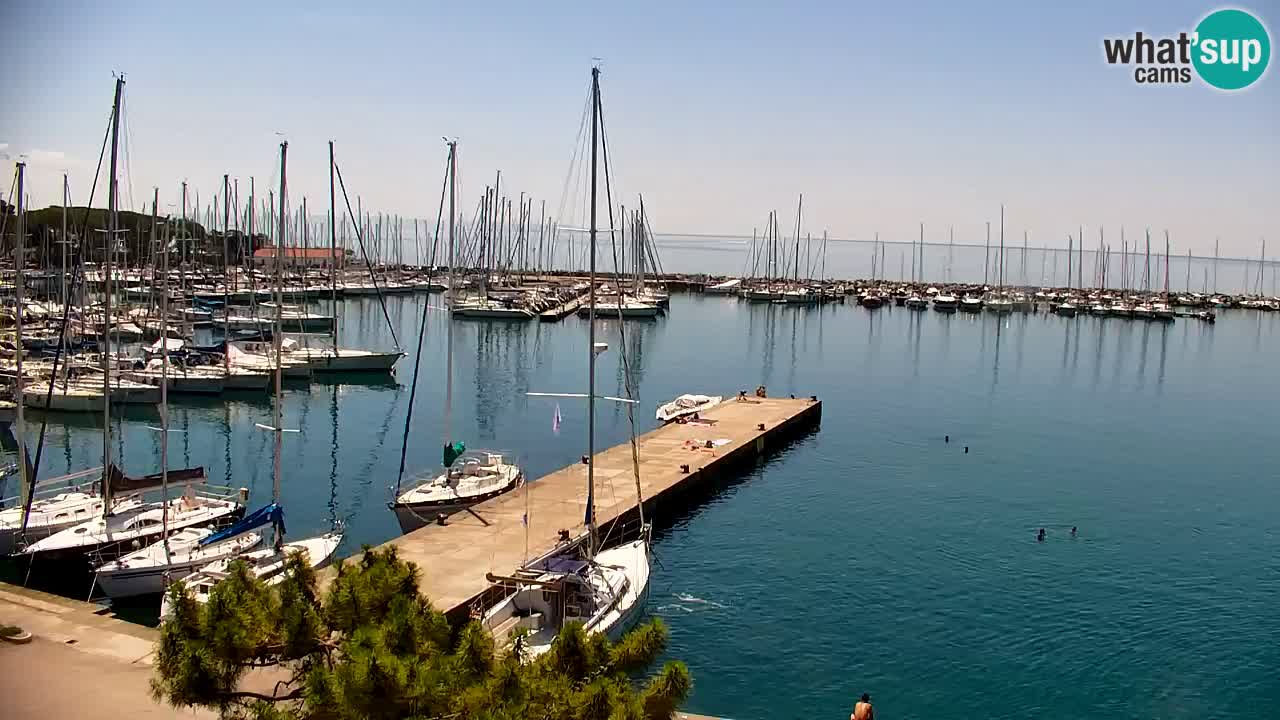 Webcam Sistiana Baia – Live View of the Marina and Gulf