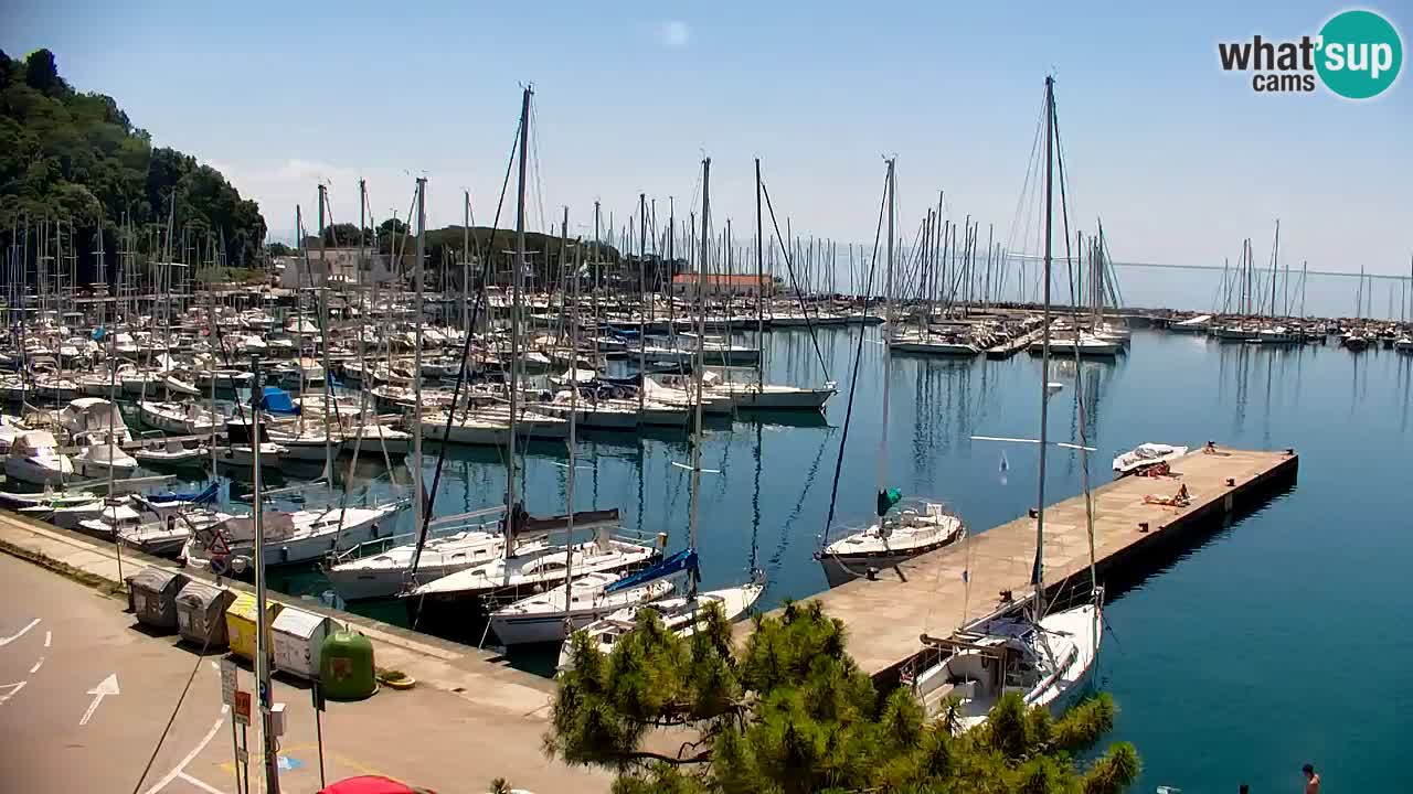 Web kamera Sistiana Uvala – Pogled uživo na marinu i zaljev