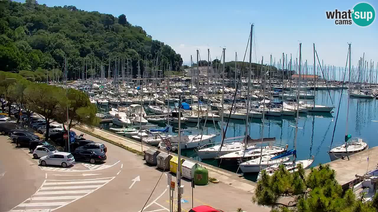 Webcam Sistiana Baia – Live View of the Marina and Gulf