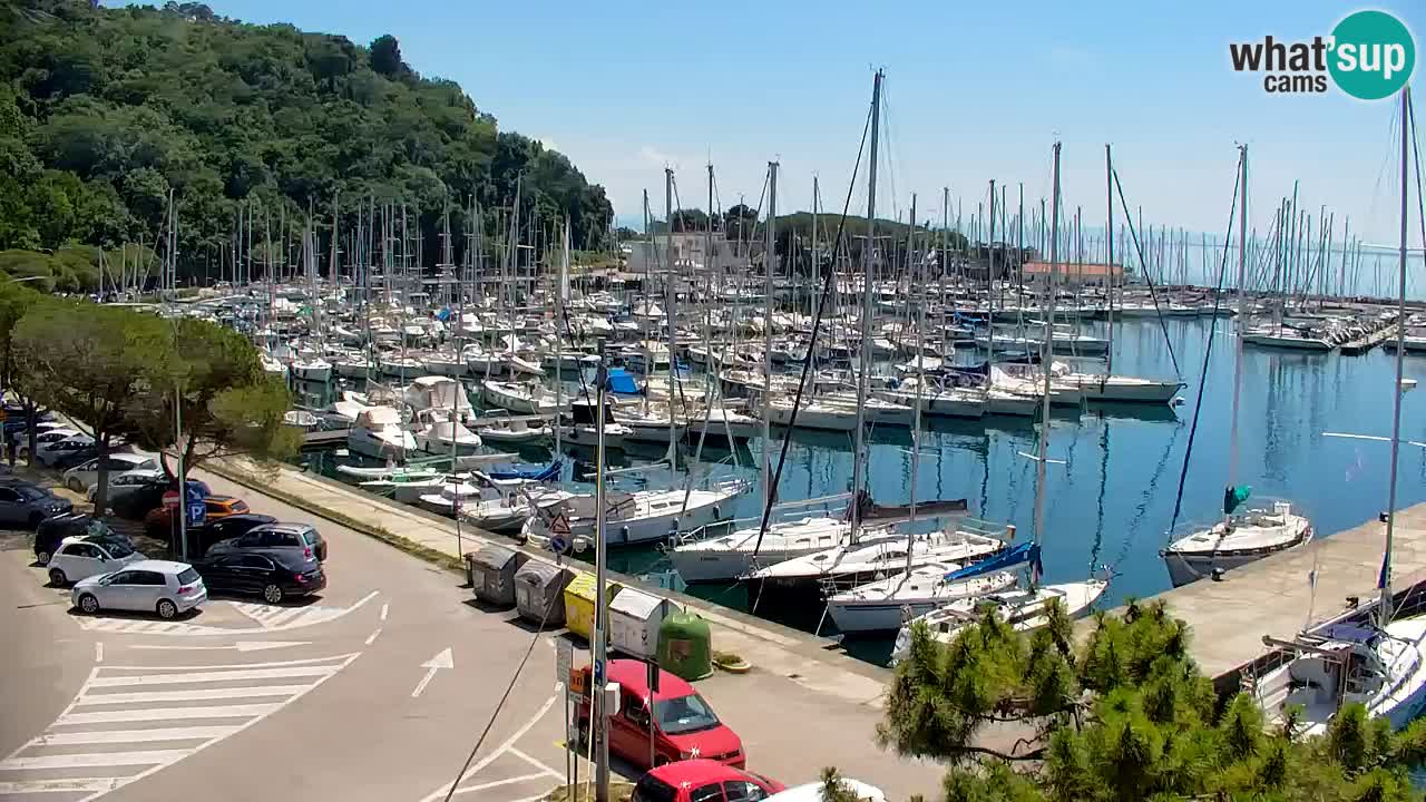 Webcam Sistiana Baia – Live View of the Marina and Gulf