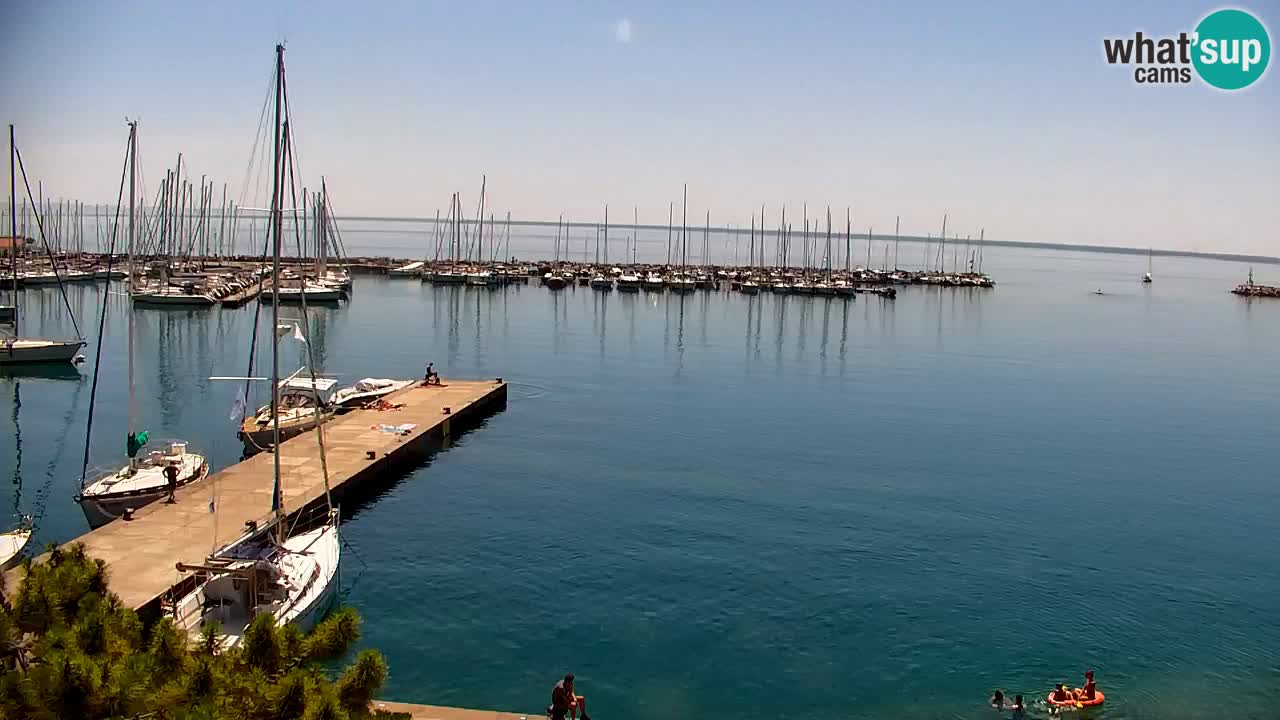 Webcam Sistiana Baia – Live View of the Marina and Gulf