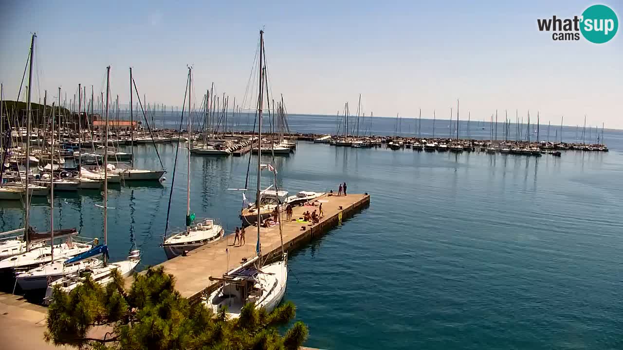 Webcam Bahía de Sistiana – Vista en directo del puerto deportivo y la costa