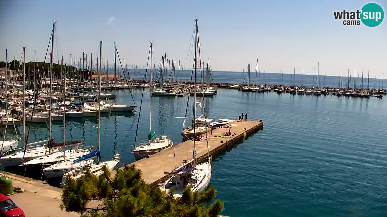 Webcam Sistiana Baia – Live View of the Marina and Gulf
