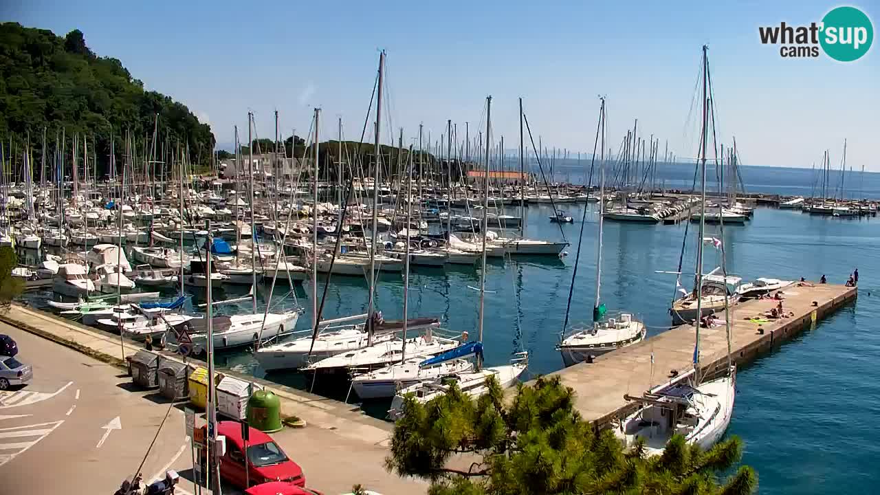 Webcam Sistiana Baia – Live View of the Marina and Gulf