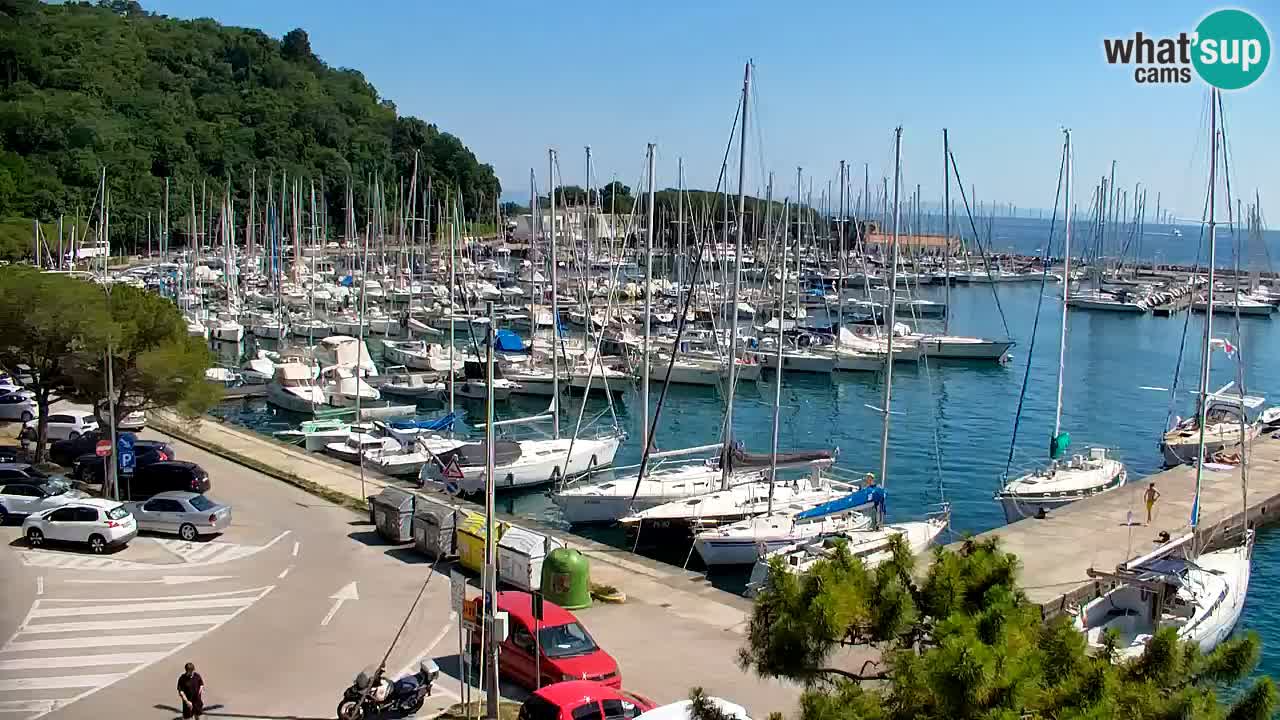 Webcam Bahía de Sistiana – Vista en directo del puerto deportivo y la costa
