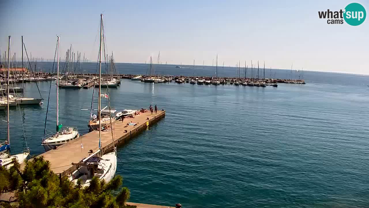 Spletna kamera Sesljanski zaliv – Pogled v živo na marino in zaliv