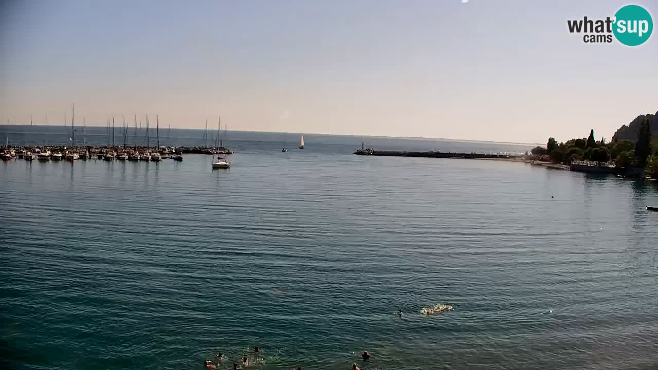 Webcam Baie de Sistiana – Vue en direct de la marina et de la baie