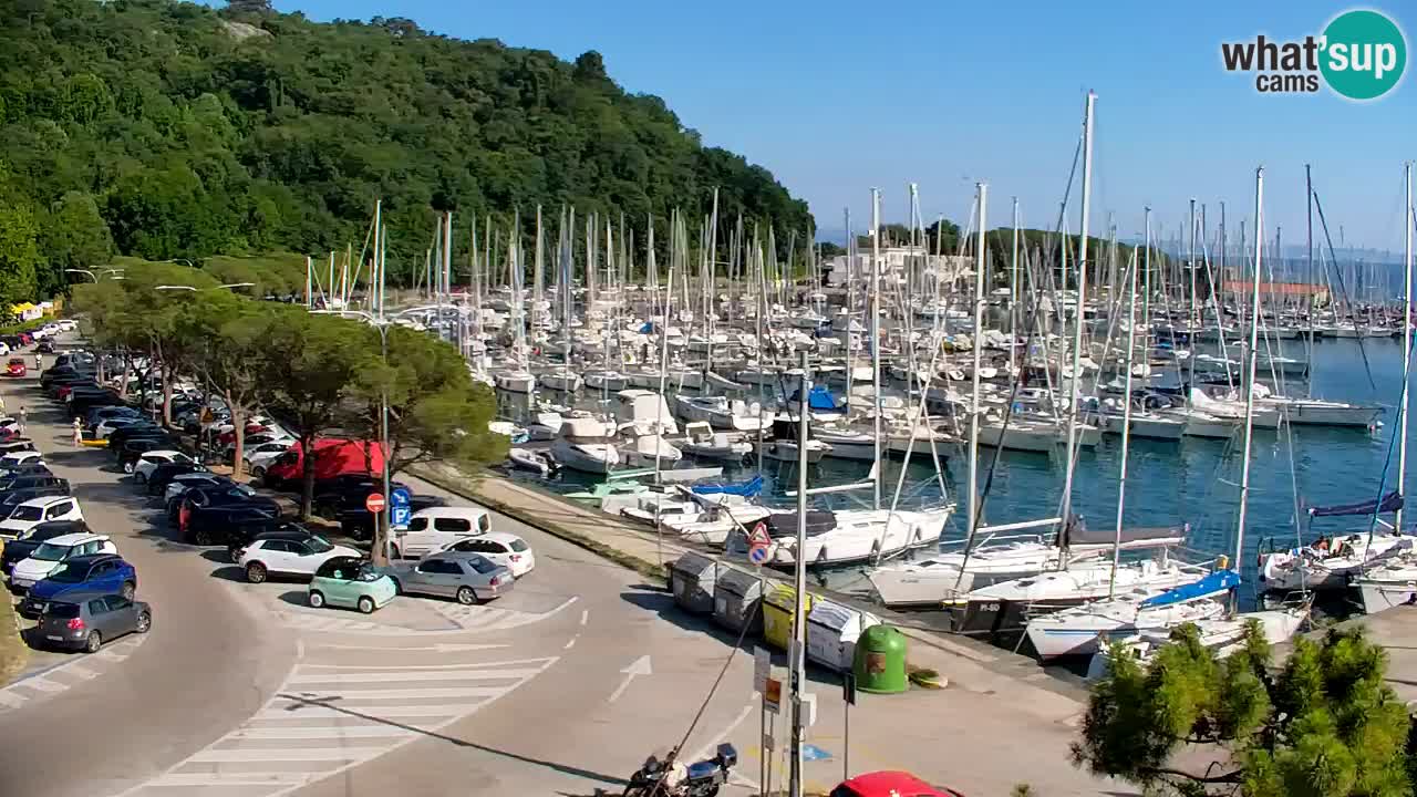 Webcam Sistiana Baia – Live View of the Marina and Gulf