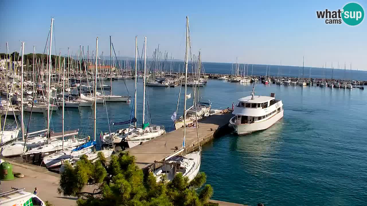 Spletna kamera Sesljanski zaliv – Pogled v živo na marino in zaliv