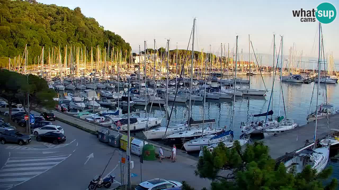Webcam Sistiana Baia – Live View of the Marina and Gulf