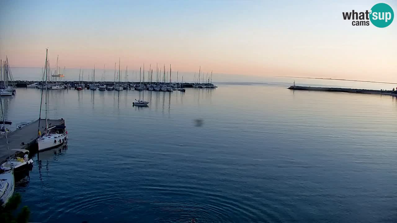 Webcam Sistiana Baia – Live View of the Marina and Gulf