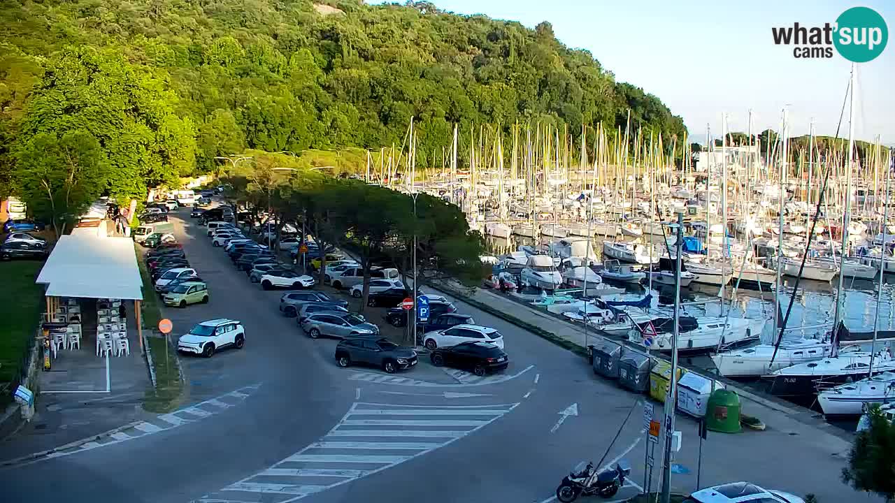 Webcam Bahía de Sistiana – Vista en directo del puerto deportivo y la costa