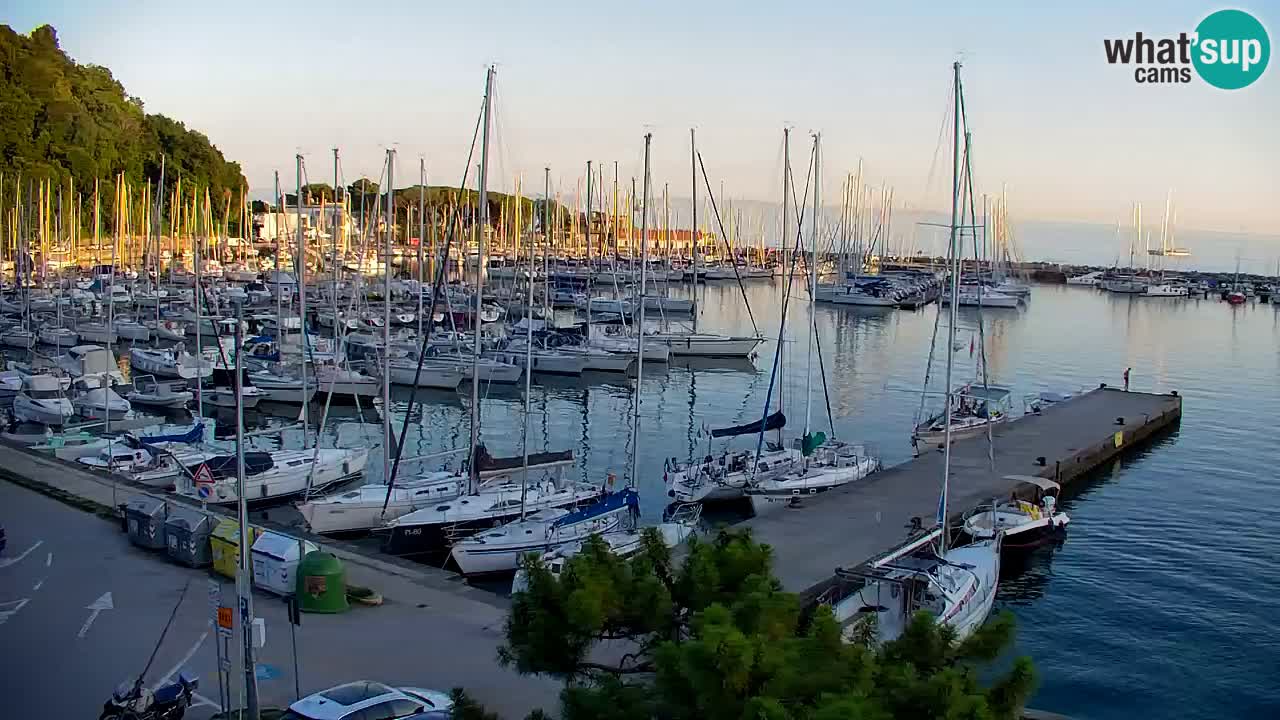 Webcam Sistiana Baia – Live View of the Marina and Gulf