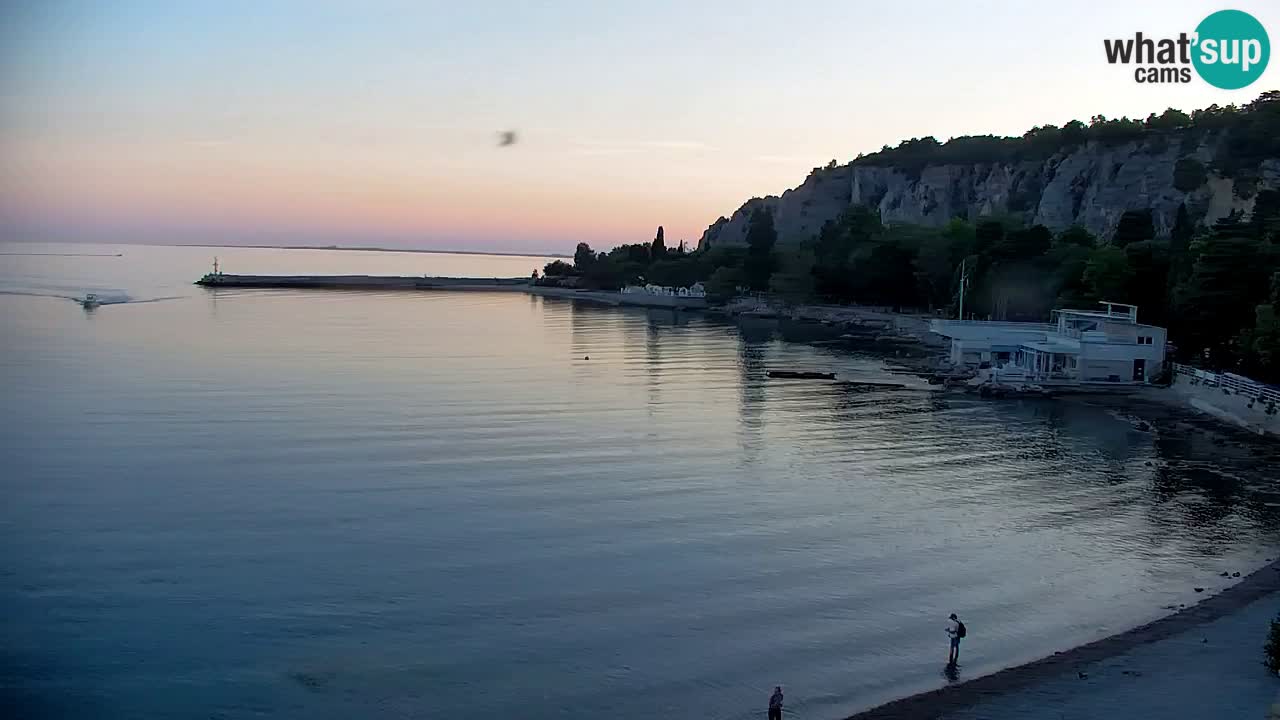 Web kamera Sistiana Uvala – Pogled uživo na marinu i zaljev