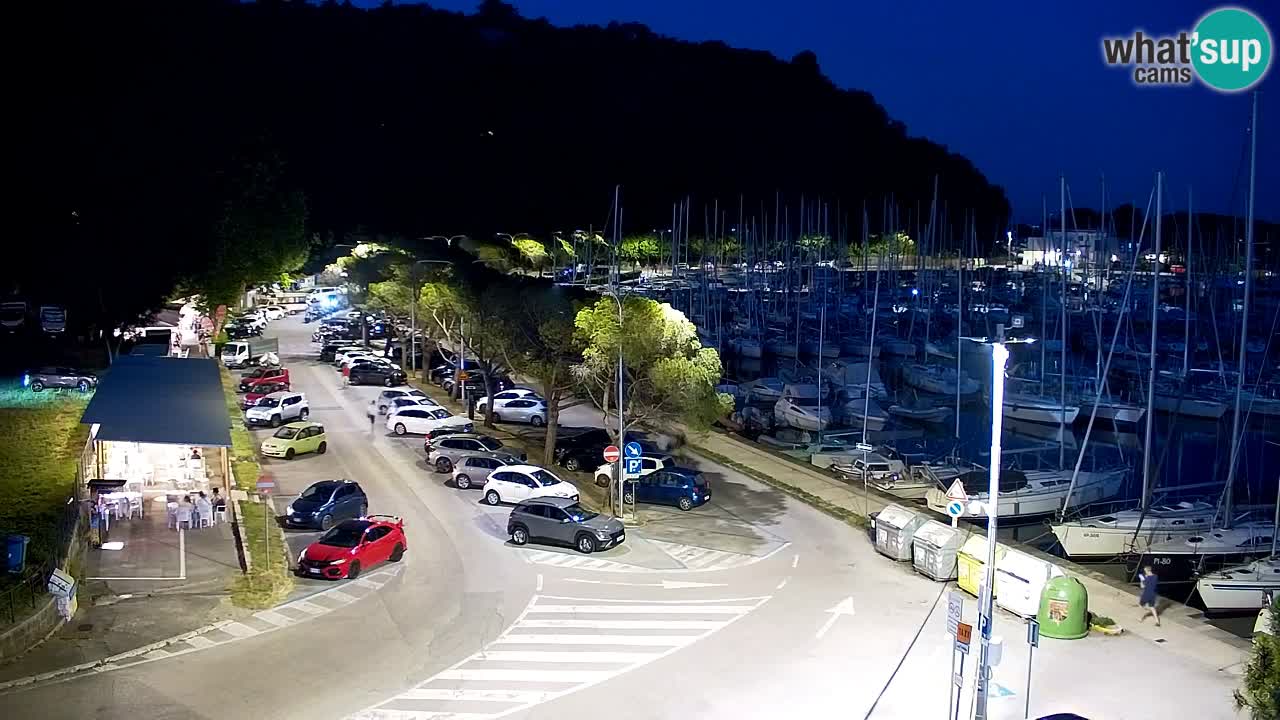 Webcam Sistiana Baia – Live View of the Marina and Gulf
