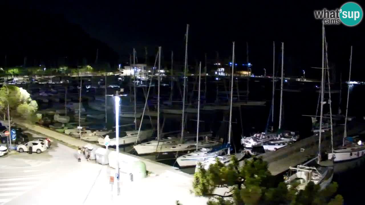 Webcam Bahía de Sistiana – Vista en directo del puerto deportivo y la costa