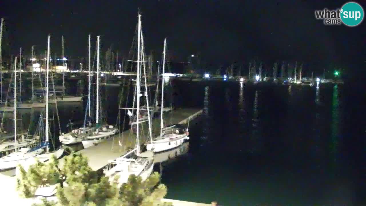 Webcam Sistiana Baia – Live View of the Marina and Gulf