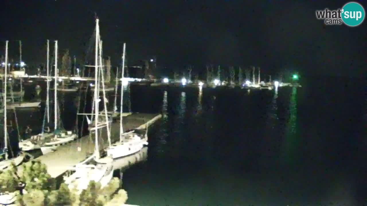 Webcam Bahía de Sistiana – Vista en directo del puerto deportivo y la costa