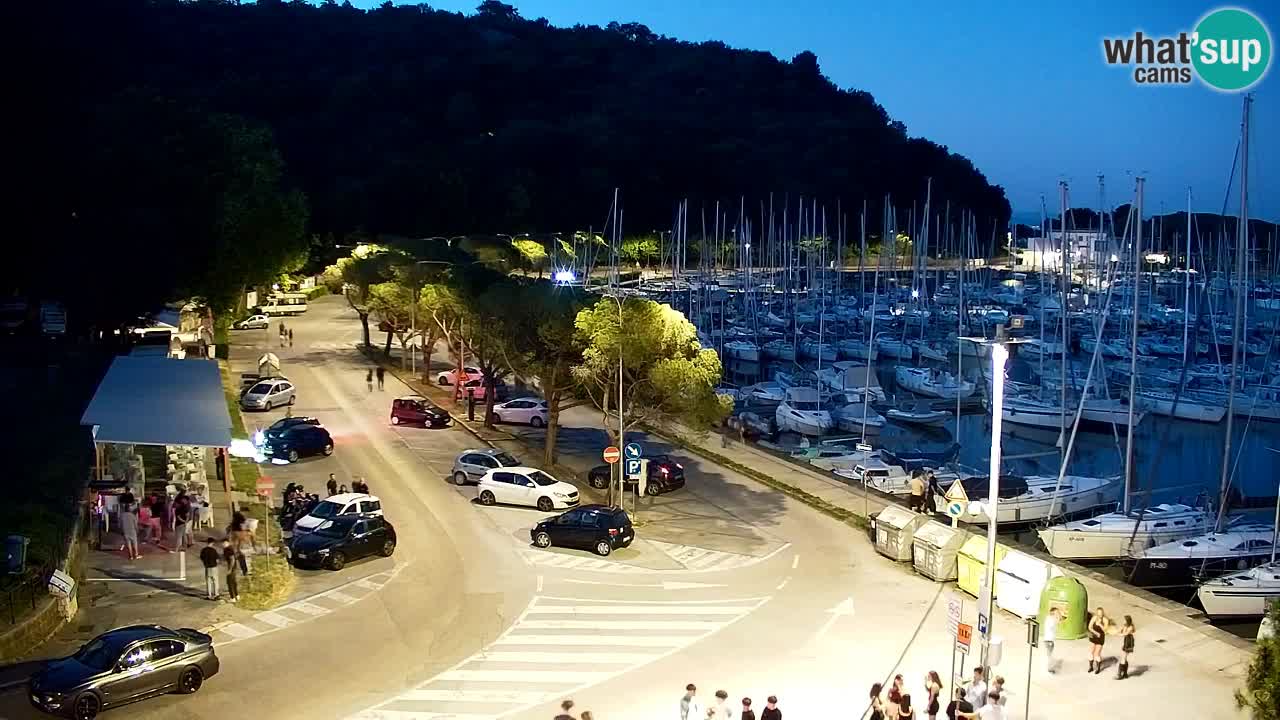 Webcam Sistiana Baia – Live View of the Marina and Gulf