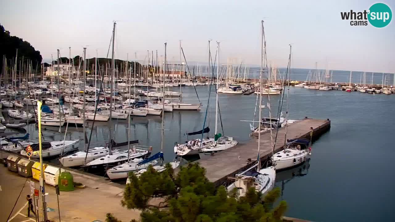 Webcam Sistiana Baia – Live View of the Marina and Gulf