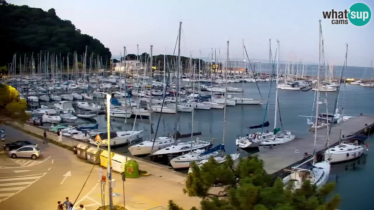 Webcam Sistiana Baia – Live View of the Marina and Gulf