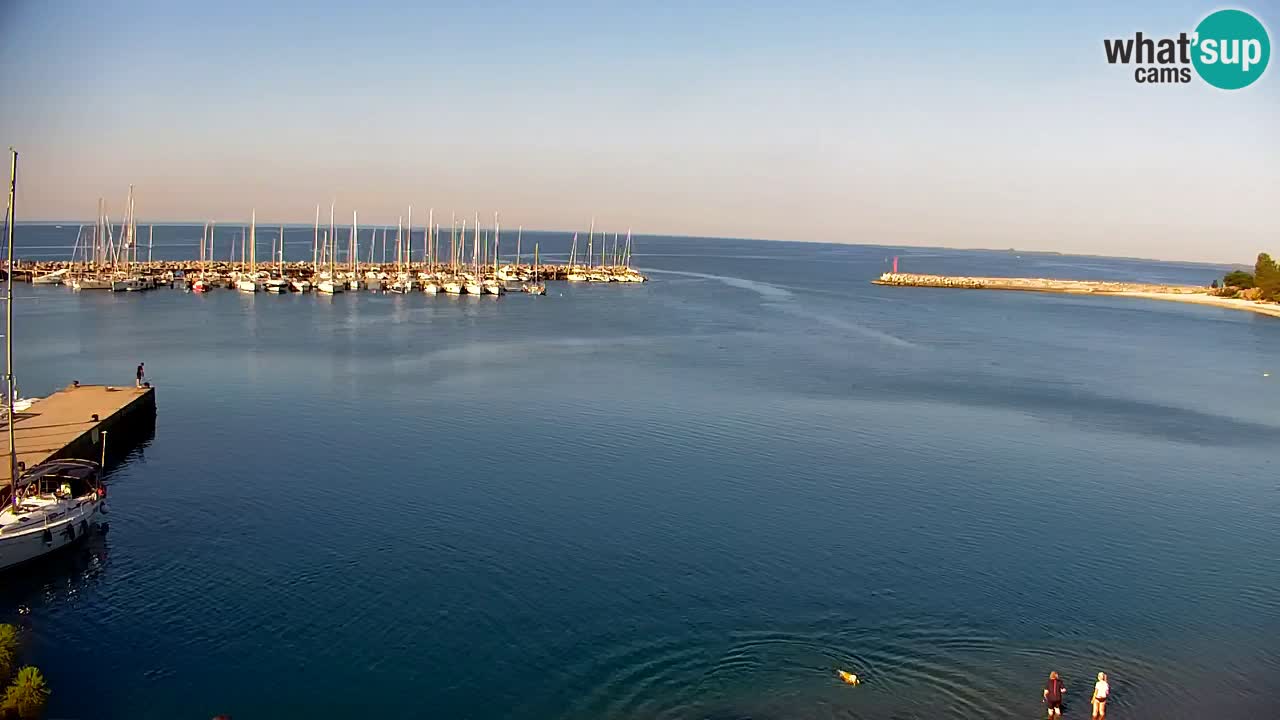 Web kamera Sistiana Uvala – Pogled uživo na marinu i zaljev