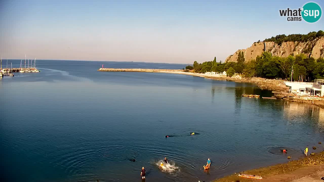 Webcam Baie de Sistiana – Vue en direct de la marina et de la baie