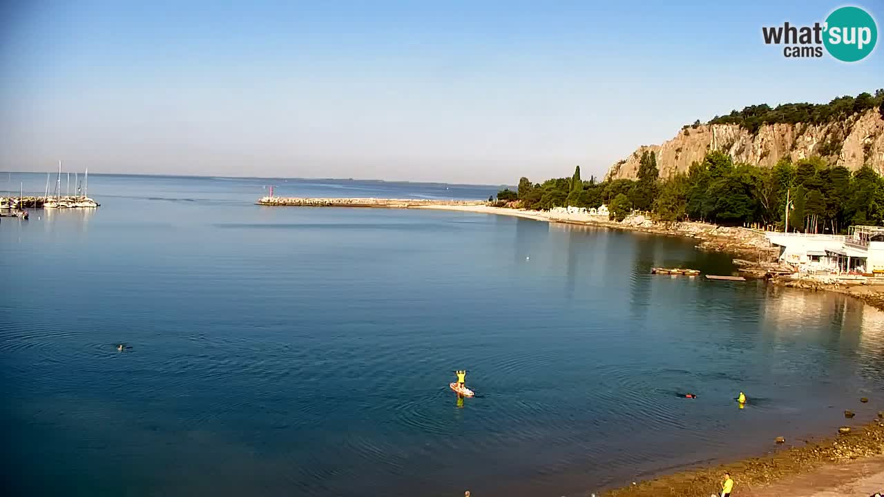 Webcam Sistiana Baia – Live View of the Marina and Gulf