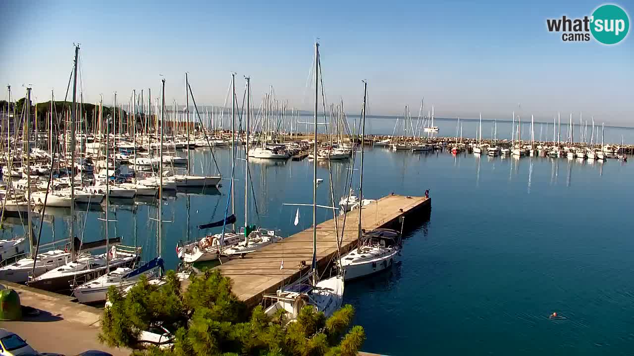 Webcam Bahía de Sistiana – Vista en directo del puerto deportivo y la costa