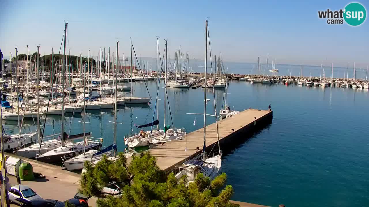 Webcam Sistiana Baia – Live View of the Marina and Gulf