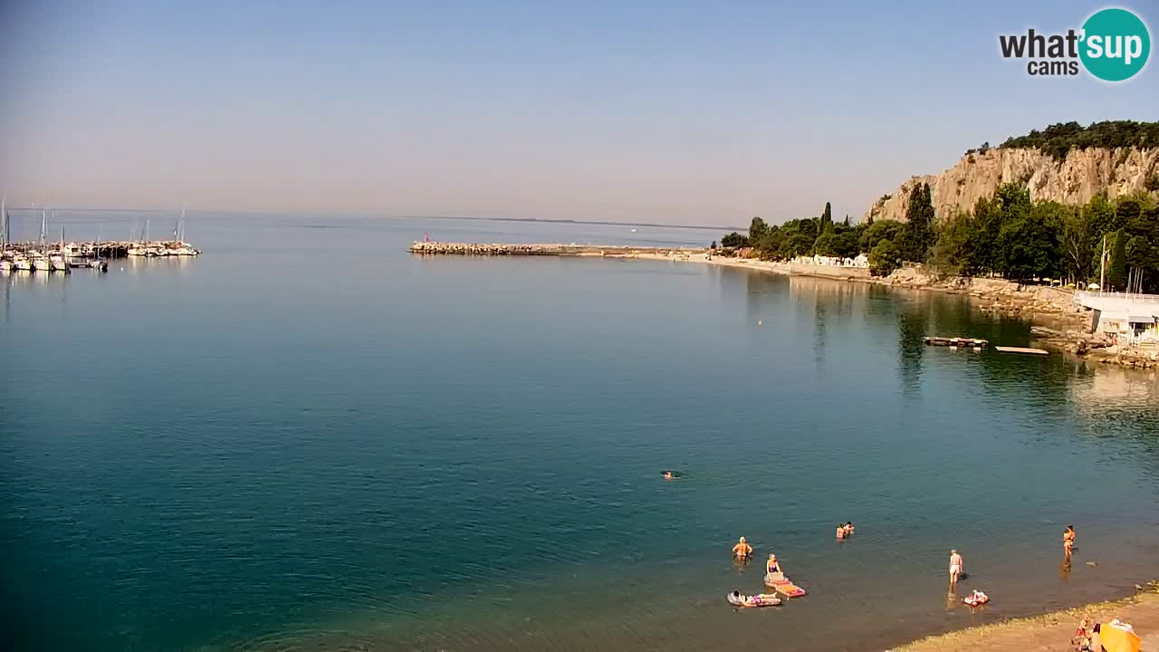 Webcam Sistiana Baia – Live View of the Marina and Gulf