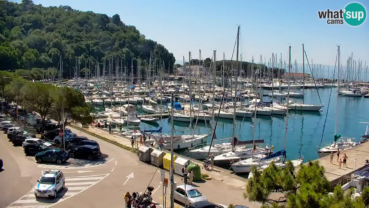 Webcam Sistiana Baia – Live View of the Marina and Gulf
