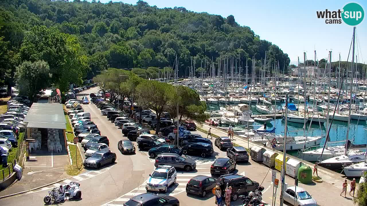 Webcam Bahía de Sistiana – Vista en directo del puerto deportivo y la costa