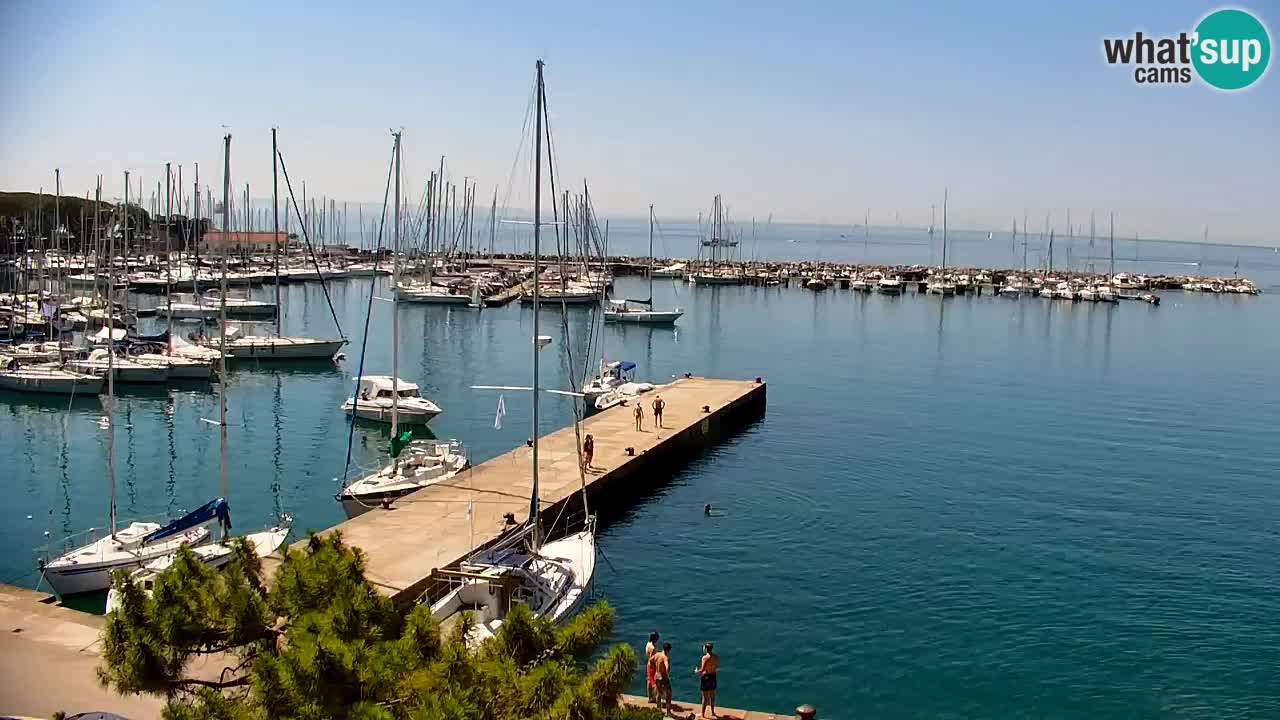 Webcam Sistiana Baia – Live View of the Marina and Gulf