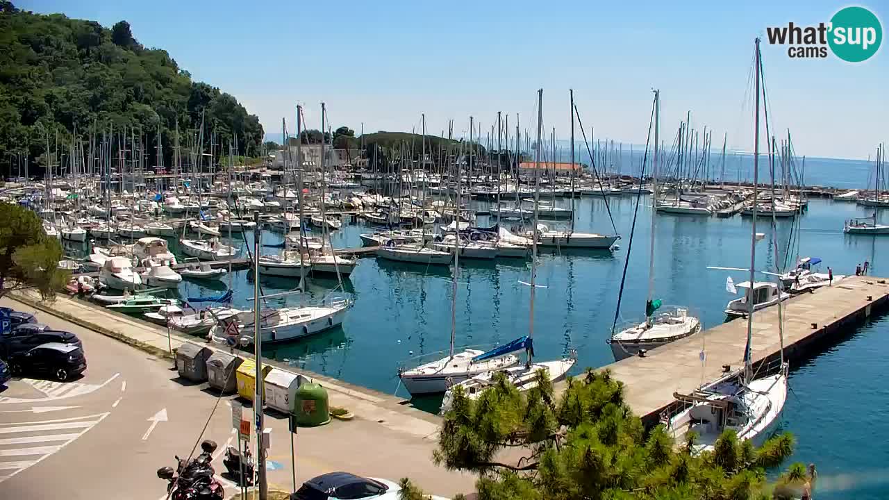 Webcam Bahía de Sistiana – Vista en directo del puerto deportivo y la costa