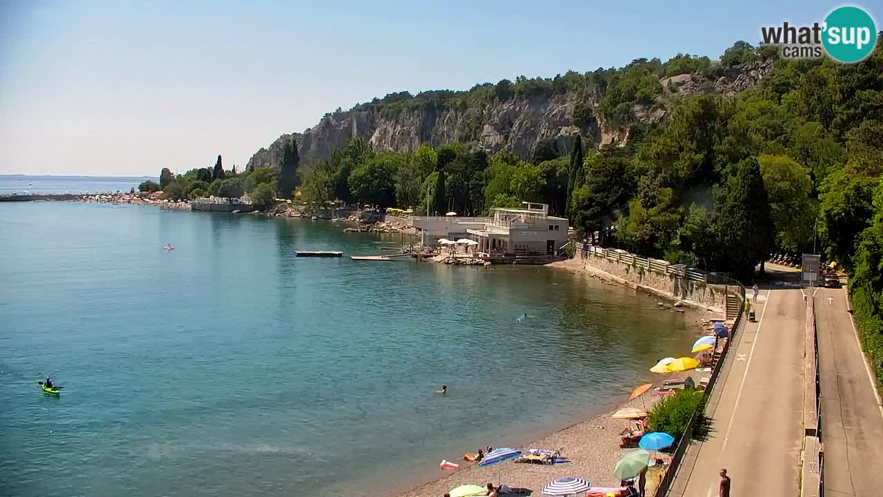 Webcam Sistiana Baia – Live View of the Marina and Gulf