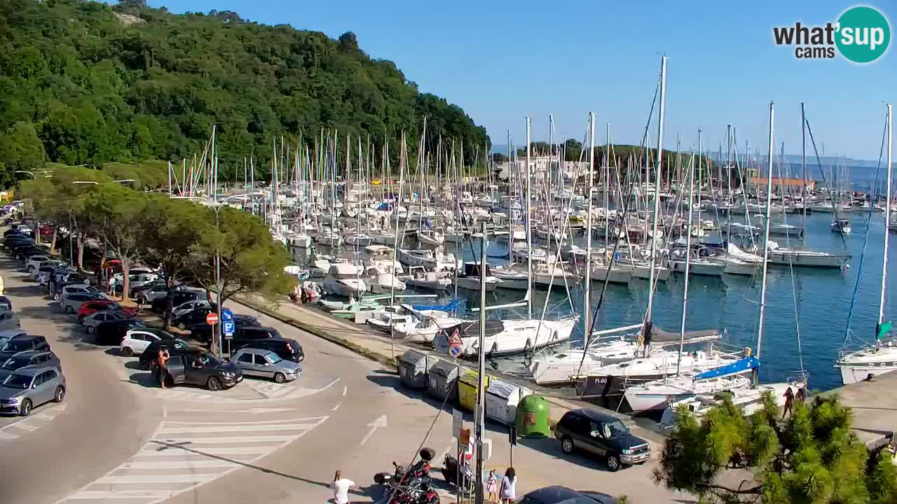 Webcam Sistiana Baia – Live View of the Marina and Gulf