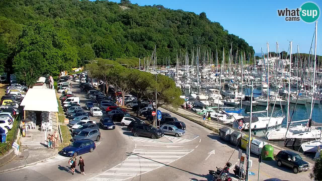 Spletna kamera Sesljanski zaliv – Pogled v živo na marino in zaliv