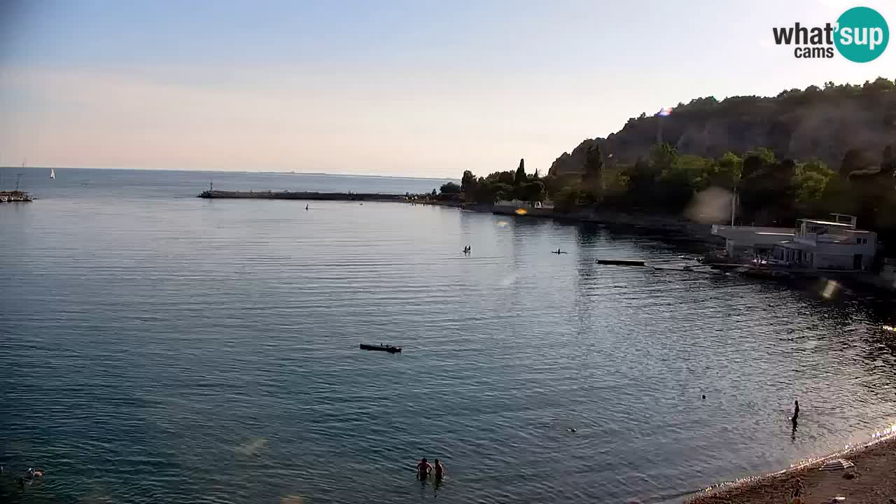 Web kamera Sistiana Uvala – Pogled uživo na marinu i zaljev