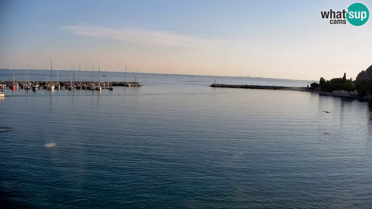 Webcam Bahía de Sistiana – Vista en directo del puerto deportivo y la costa