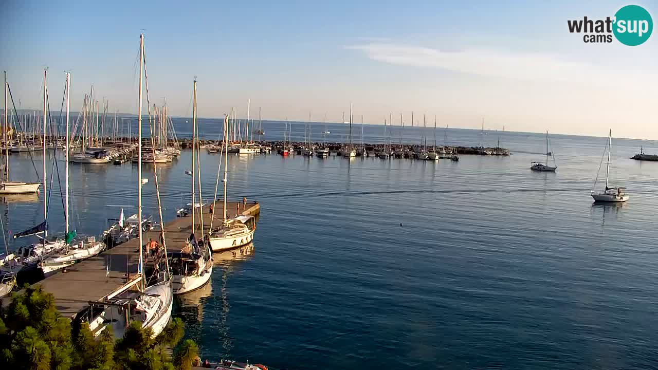 Webcam Bahía de Sistiana – Vista en directo del puerto deportivo y la costa