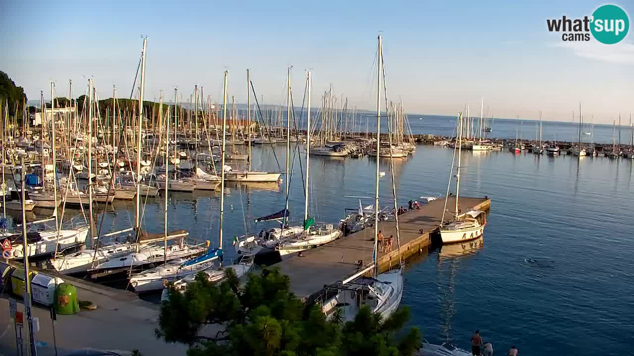 Webcam Sistiana Baia – Live View of the Marina and Gulf