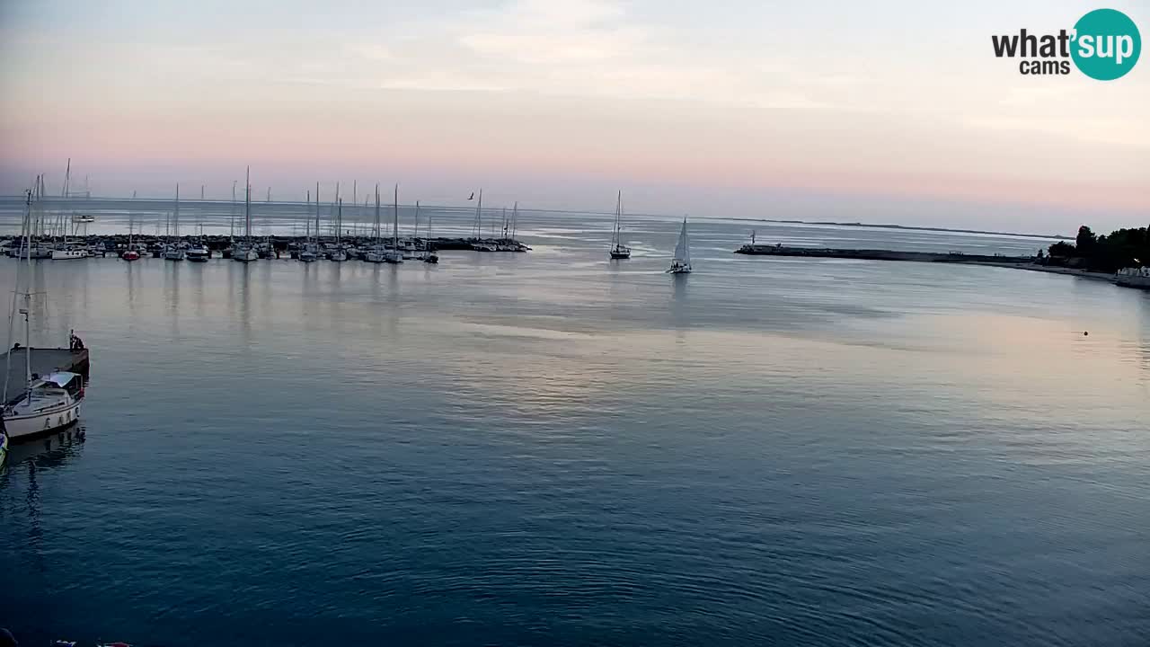 Spletna kamera Sesljanski zaliv – Pogled v živo na marino in zaliv