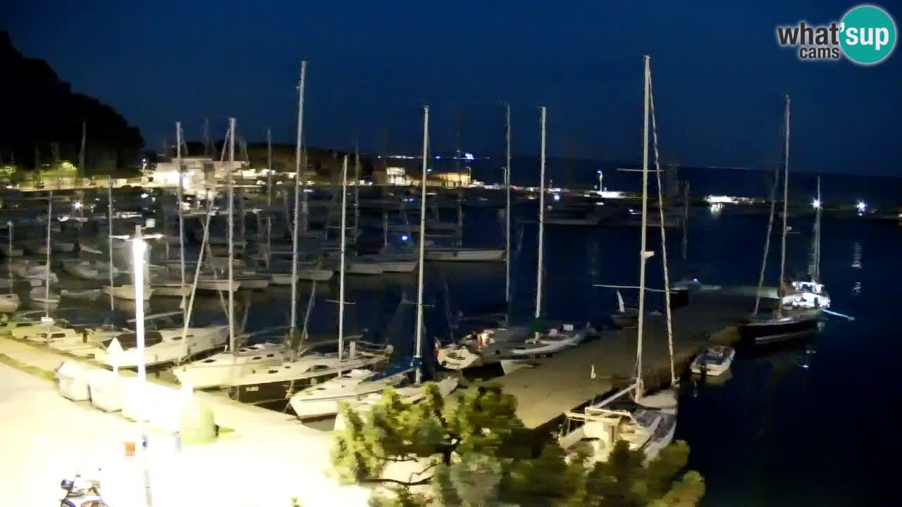 Webcam Bahía de Sistiana – Vista en directo del puerto deportivo y la costa