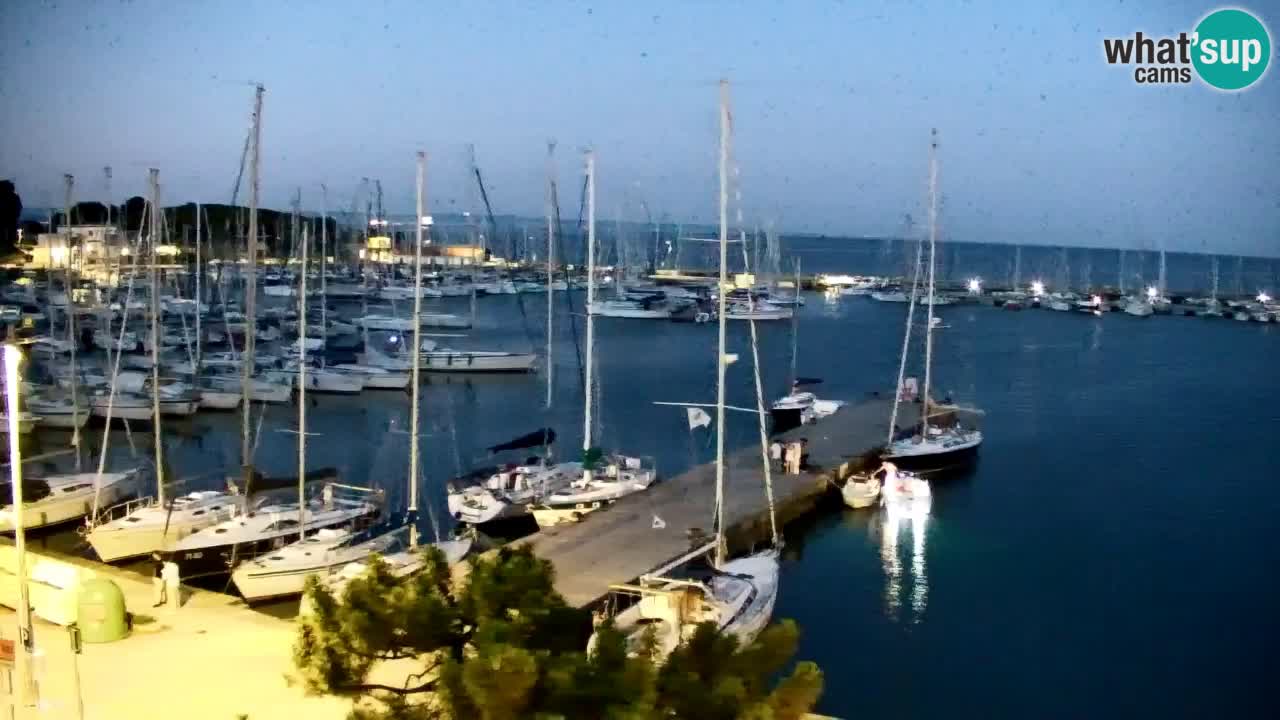 Webcam Sistiana Baia – Live View of the Marina and Gulf
