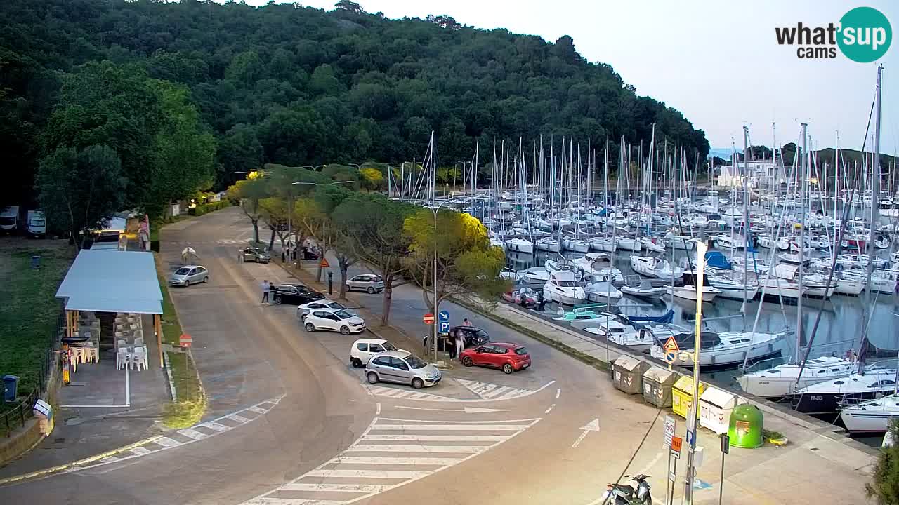 Webcam Sistiana Baia – Live View of the Marina and Gulf