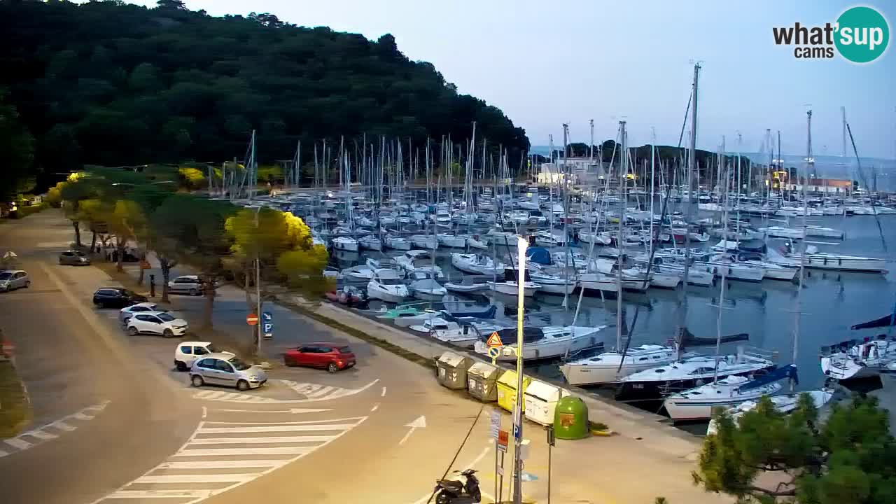 Webcam Sistiana Baia – Live View of the Marina and Gulf
