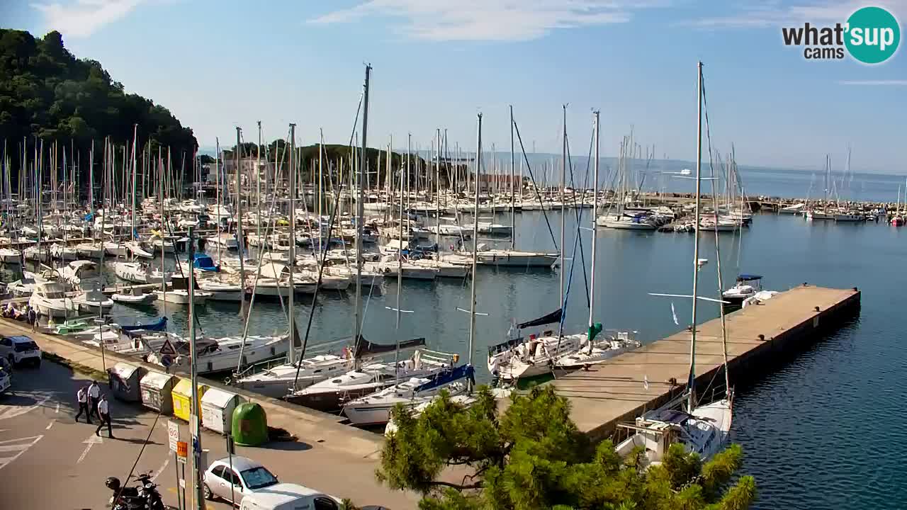 Webcam Sistiana Baia – Live View of the Marina and Gulf