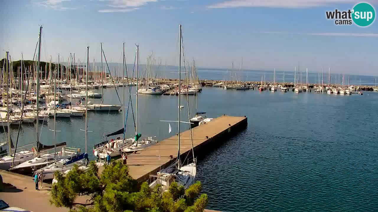 Webcam Sistiana Baia – Live View of the Marina and Gulf