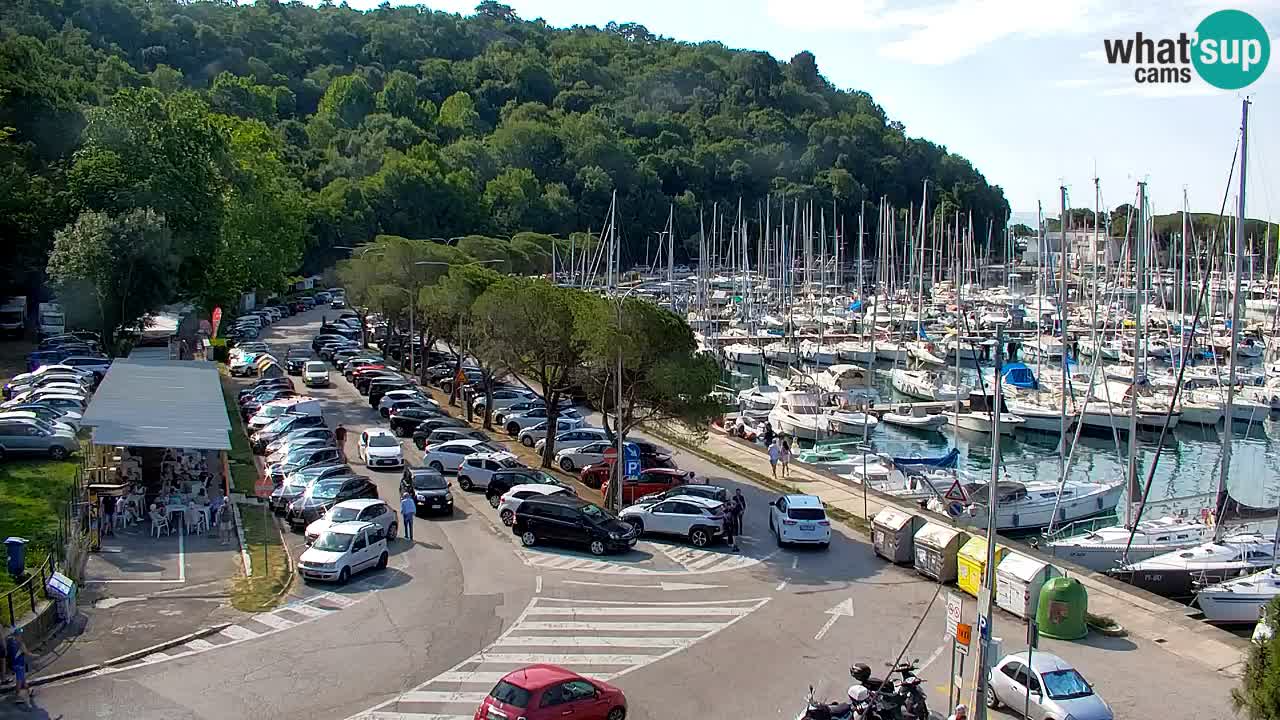 Webcam Sistiana Baia – Live View of the Marina and Gulf